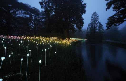 Instalaciones mágicas de Bruce Munro transforman los jardines en un paisaje iluminado