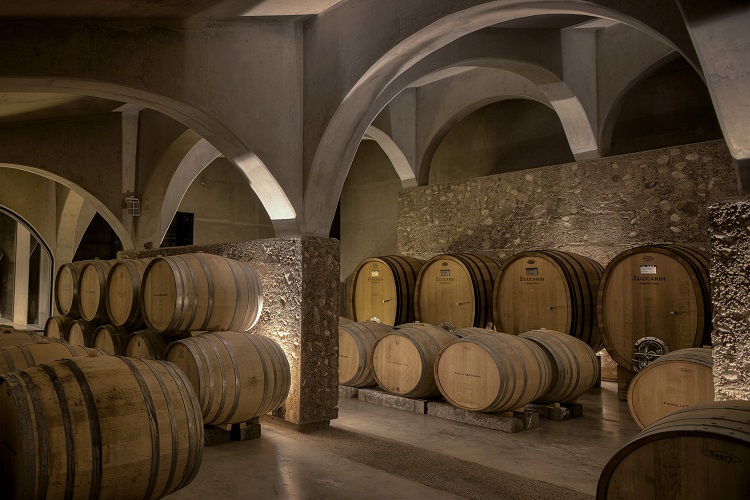 Visita a una bodega mendocina, una experiencia única