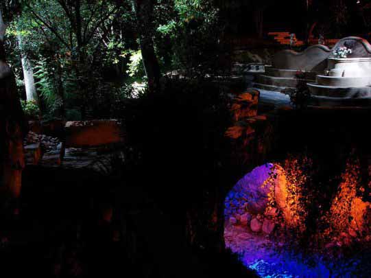 Un jardín cobra vida a través de un sistema de luces 