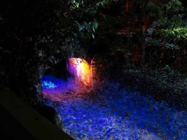 Un jardín cobra vida a través de un sistema de luces 