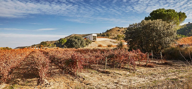 Una bodega que se destaca en el paisaje vitivinícola