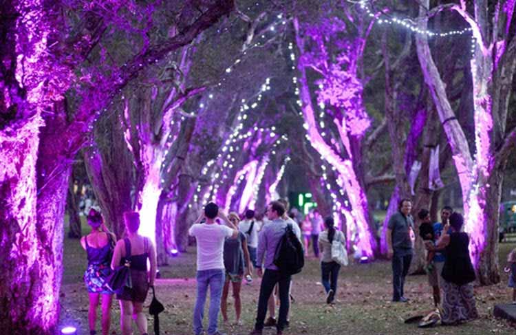 Una instalación artística a base de luminarias LED en un parque 