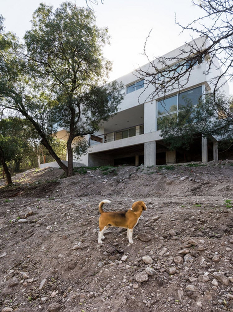 Hermoso diseño y arquitectura en la ciudad de Córdoba