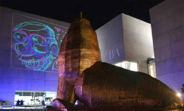 Ceremonia de inauguración del Año Intrernacional de la Luz en Argentina