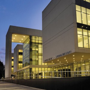 Lucciola - KEVIN PLAFÓN - PL401 - PL500 - PL501 - PL502 - PL530 - PL540 - Plafón