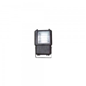 Iluminacion RusticaAlumbrado Led - AP116 - PROYECTOR