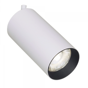 Lámpara Punto Iluminación | ZENT 30W - CA ZE 302430T - CA ZE 102130T - Cabezal