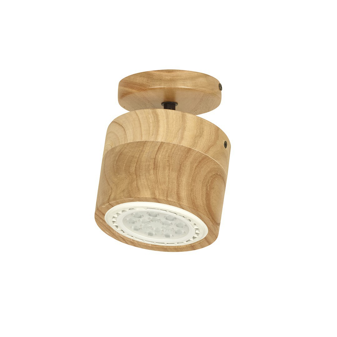 Carilux - APLIQUE AR111 - Aplique de Techo