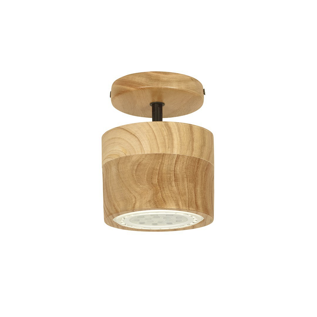 Carilux - APLIQUE AR111 - Aplique de Techo