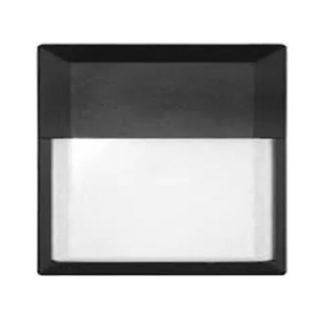 Iniciativas Nuevas - Aplique Tortuga - 940030