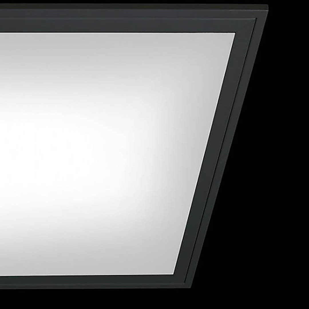 Lucciola - Tomasso II - REA123 - REA066 - REAL236L