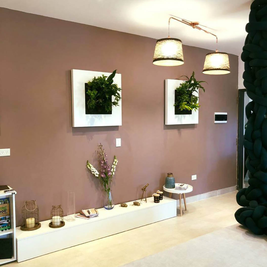 Nelglass - MOLENA PICCOLA - MOLENA MACRO - MO 1000 - MO1003