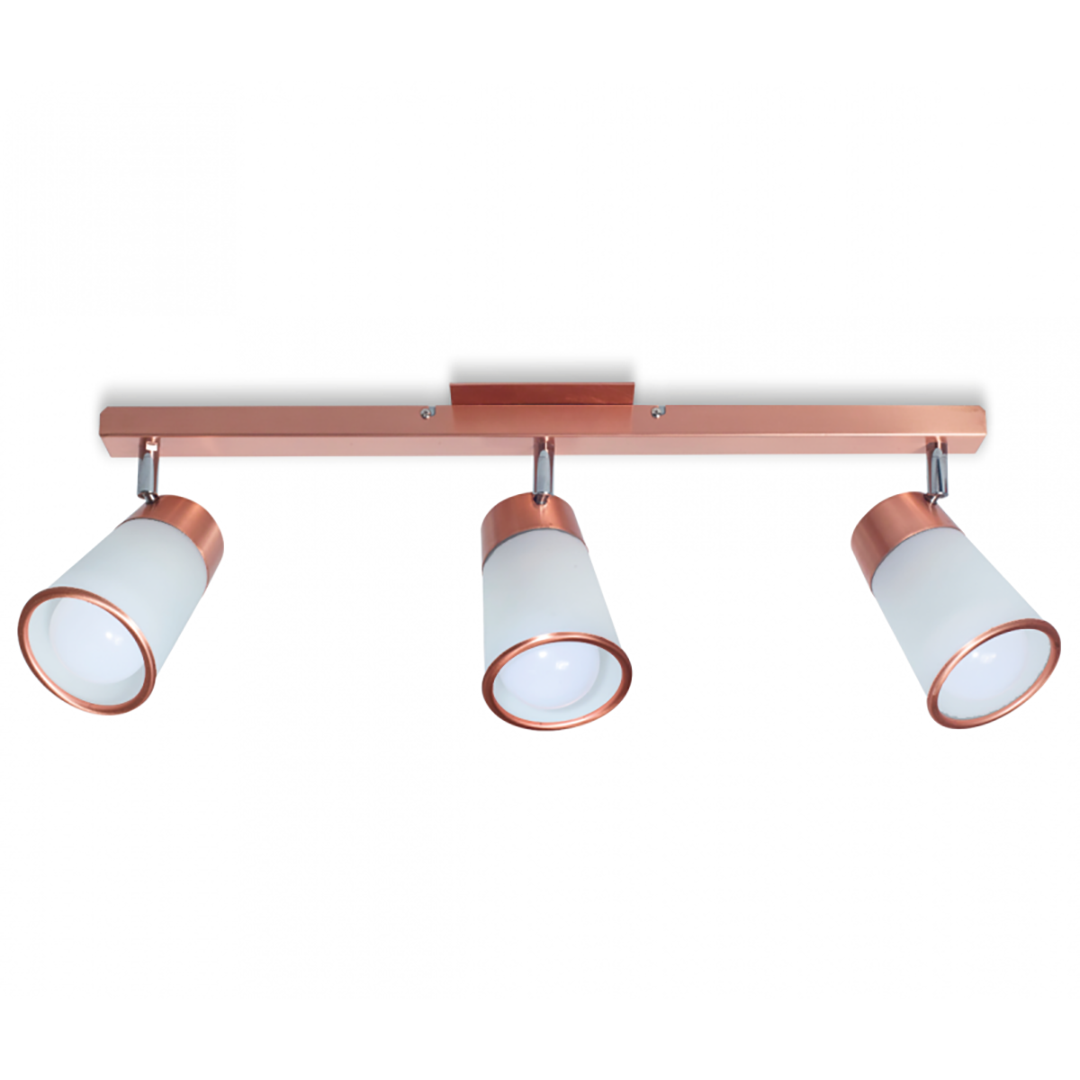 San Lorenzo - Volcano - 503