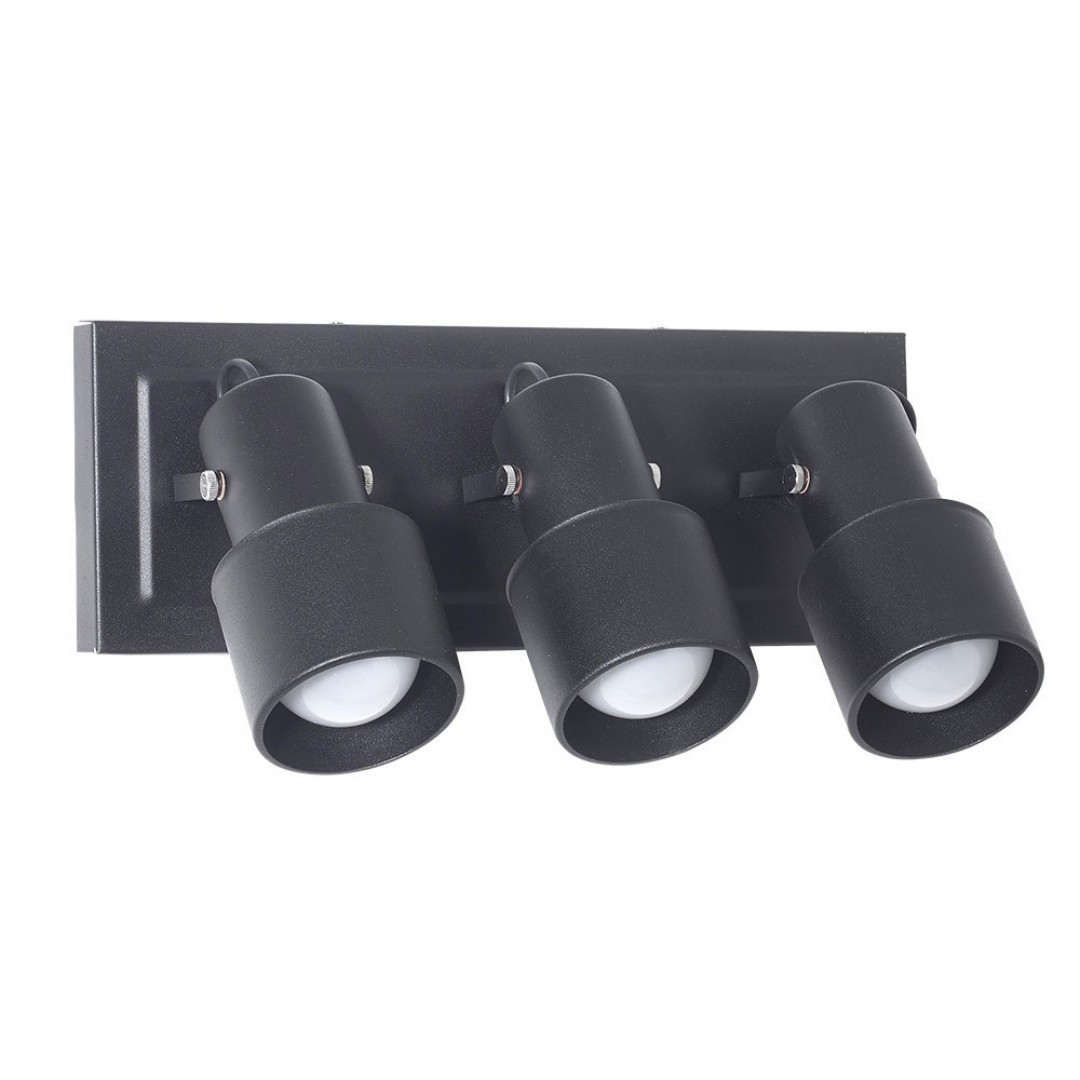 San Lorenzo - Lanin - 653 - Aplique